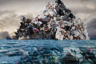 Пластик в океані допомагає поширювати смертельні хвороби - вчені
