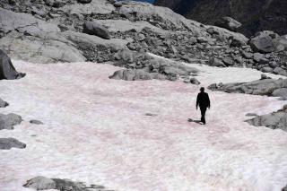 В італійських Альпах з`явився загадковий рожевий сніг