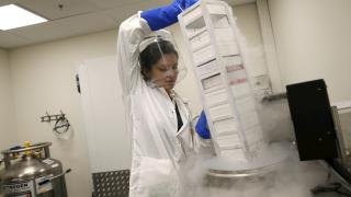 УКРАЇНСЬКИЙ БІОБАНК ОТРИМАЄ ЛІКИ ВІД РАДІАЦІЙНОГО ОТРУЄННЯ В РАМКАХ СПІВПРАЦІ З ІЗРАЇЛЬСЬКОЮ КОМПАНІЄЮ