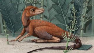 Перші динозаври були невеличкими та полювали на комах - вчені
