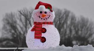Найвищого у світі сніговика зліпили в Австрії (ФОТО)