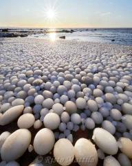 Пляж у Фінляндії засипало крижаними м'ячами