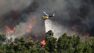 МАСШТАБНА ЛІСОВА ПОЖЕЖА У ГРЕЦІЇ ВЖЕ СЯГНУЛА ОКОЛИЦЬ АФІН